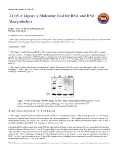 Promega Notes: T4 RNA Ligase: A Molecular Tool for RNA and DNA Manipulations