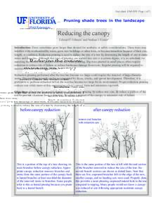 Fact sheet ENH 850 Page 1 of 2  Pruning shade trees in the landscape Reducing the canopy Edward F. Gilman1 and Nathan J. Eisner2