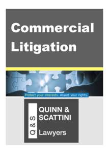 Commercial Litigation Contents What is Commercial Litigation?