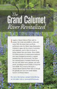 The  Grand Calumet River Revitalized I
