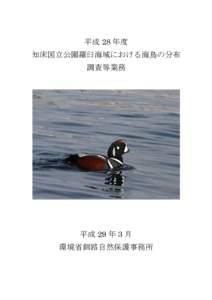 平成 28 年度 知床国立公園羅臼海域における海鳥の分布 調査等業務 平成 29 年 3 月 環境省釧路自然保護事務所