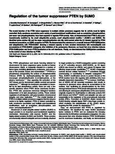 Regulation of the tumor suppressor PTEN by SUMO