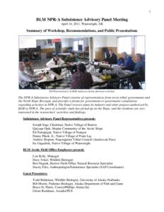 Summary of the April 17, 2011, meeting of the NPR-A Subsistence Advisory Panel