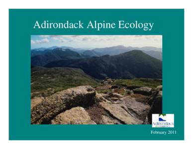 Adirondack Alpine Ecology  February 2011 Adirondack Alpine Ecology aka High Elevation Boreal