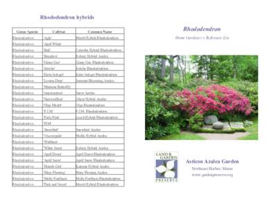 Rhododendron hybrids Genus Species Cultivar  Common Name
