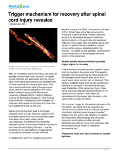 Trigger mechanism for recovery after spinal cord injury revealed
