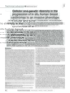 Technical advance  Related Commentary, page 401 Cellular and genetic diversity in the progression of in situ human breast