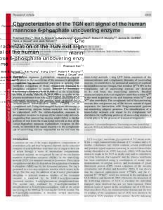 Research ArticleCharacterization of the TGN exit signal of the human mannose 6-phosphate uncovering enzyme