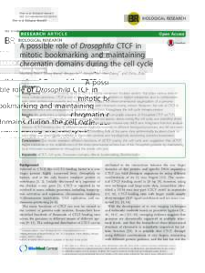 A possible role of Drosophila CTCF in mitotic bookmarking and maintaining chromatin domains during the cell cycle