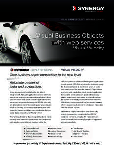 VISUAL BUSINESS OBJECTS WITH WEB SERVICES  Visual Business Objects with web services Visual Velocity