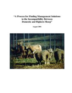 “A Process for Finding Management Solutions to the Incompatibility Between Domestic and Bighorn Sheep” August 2001  TABLE OF CONTENTS