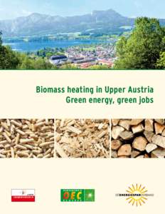 Sustainability / Energy / Physical universe / Bioenergy / Biomass / Renewable energy / Wood fuel / Energy conservation / Biomass heating system / Pellet fuel / District heating / Biofuel