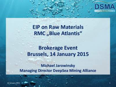 EIP on Raw Materials RMC „Blue Atlantis“ Brokerage Event Brussels, 14 January 2015 Michael Jarowinsky Managing Director DeepSea Mining Alliance