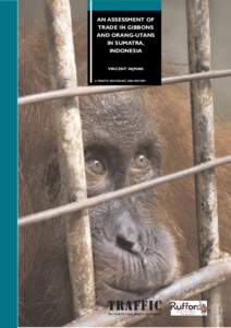 An assessment of trade in gibbons and orang-utans in Sumatra, Indoesia (