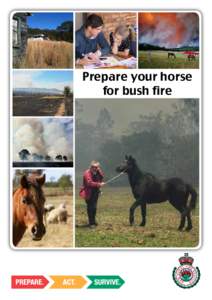 Prepare your horse for bush fire BUSH FIRE SAFETY and PREPARE a plan to