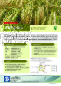 PREFEROVANÁ ODRŮDA  KWS Ariane KWS Ariane je přímým nástupcem velmi známé a úspěšné odrůdy Wintmalt. Odrůda vznikla křížením Wintmaltu a další velice známé sladovnické odrůdy Malwinta. Vyznačuje 