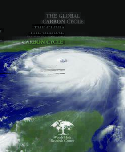 THE GLOBAL CARBON CYCLE GLOBAL WARMING IS NOT A SCIENTIFIC CONTROVERSY