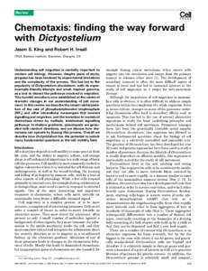 Biology / Cell biology / Mycetozoa / Cytoskeleton / Chemotaxis / Perception / Cell migration / Dictyostelium discoideum / Actin / Dictyostelium / Cell polarity / Amoeba
