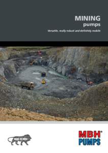 MINING pumps Versatile, really robust and definitely mobile  DEWATERING
