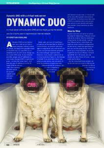 Two Pug dogs sitting in chair.