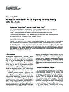 MicroRNA Roles in the NF-κB Signaling Pathway during Viral Infections