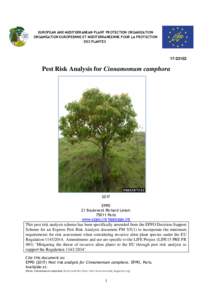EUROPEAN AND MEDITERRANEAN PLANT PROTECTION ORGANIZATION ORGANISATION EUROPEENNE ET MEDITERRANEENNE POUR LA PROTECTION DES PLANTES