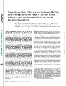 Substrate specificity of the ileal and the hepatic Na1/bile acid cotransporters of the rabbit. I. Transport studies with membrane vesicles and cell lines expressing the cloned transporters Werner Kramer,1 Siegfried Steng