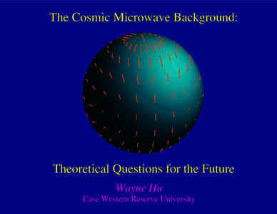The Cosmic Microwave Background:  Theoretical Questions for the Future Wayne Hu  Case Western Reserve University