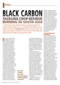 Feature  BLACK CARBON TACKLING CROP-RESIDUE BURNING IN SOUTH ASIA