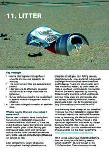 82  state of the seas 11. LITTER