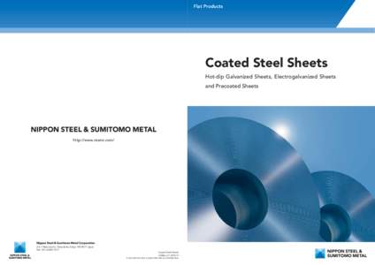 Flat Products  Coated Steel Sheets Hot-dip Galvanized Sheets, Electrogalvanized Sheets and Precoated Sheets
