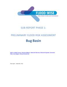 sub-report_phase_1_Bug_Basin