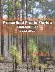 Prescribed Fire in Florida Strategic Plan[removed] Foreword he future of prescribed fire in Florida is uncertain.