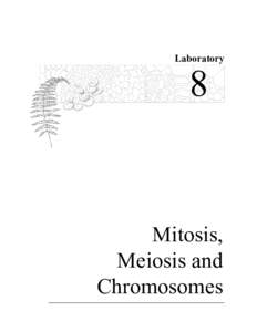 Laboratory  8 Mitosis, Meiosis and