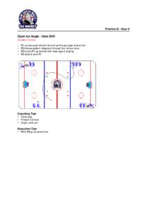 Practice B - Hour 6  Open Ice Angle - Gate Drill Duration: 8 mins • •