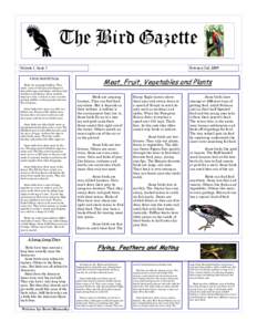 The Bird Gazette Volume 1, Issue 1 A Home Made Of Twigs Birds are amazing builders. They make nests of all sizes and shapes to keep their eggs and babies safe from bad