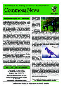 Wimbledon & Putney Commons Conser vators  Commons News Wimbledon Common Putney Heath Putney Lower Common Site of Special Scientific Interest Special Area of Conservation