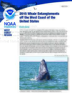 MarchWhale Entanglements off the West Coast of the United States Overview
