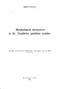 Morphological divergences in the Anopheles gambiae complex.