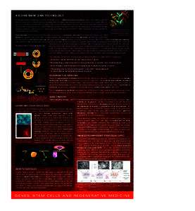 Blease Design Limited  ARTWORK PROOF RECOMBINANT DNA TECHNOLOGY Recombinant DNA technology is based on the discovery of DNA restriction enzymes in the 1960s and beyond. Restriction enzymes are natural bacterial proteins 