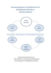 Recommendations for Guidelines for the Rehabilitation Workforce: A Realist Synthesis Human Resources