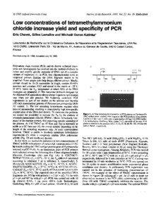 Q--), 1995 Oxford University Press  Nucleic Acids Research, 1995, Vol. 23, No[removed]