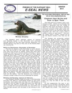 FRIENDS OF THE ELEPHANT SEAL  E-SEAL NEWS WINTER 2012