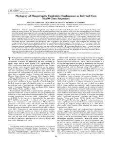 Euglenid / Bodo saltans / Peranema / Euglena / Kinetoplastid / Hsp90 / Intron / BLAST / Lari / Biology / Euglenozoa / Microbiology