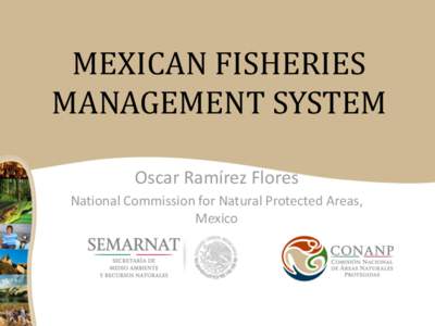 MEXICAN FISHERIES MANAGEMENT SYSTEM Oscar Ramírez Flores National Commission for Natural Protected Areas, Mexico
