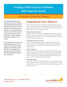 YoungStar Fact Sheet - Special Needs