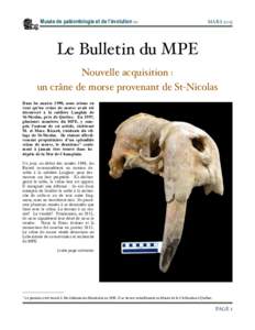 Bulletin du MPE 8 mars 2013