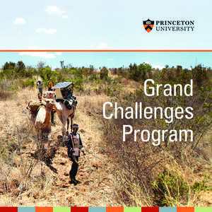 Grand Challenges Program “	Building on the University’s informal motto, Princeton in the nation’s