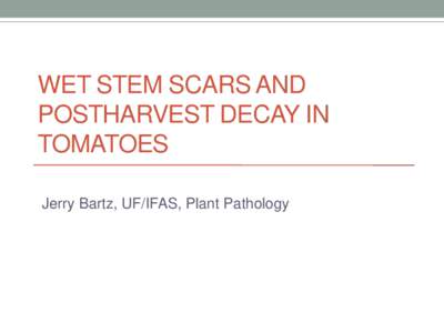 WET STEM SCARS AND POSTHARVEST DECAY IN TOMATOES Jerry Bartz, UF/IFAS, Plant Pathology  Why are postharvest decays so prevalent