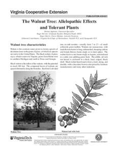 publication[removed]The Walnut Tree: Allelopathic Effects and Tolerant Plants  Bonnie Appleton, Extension Specialist